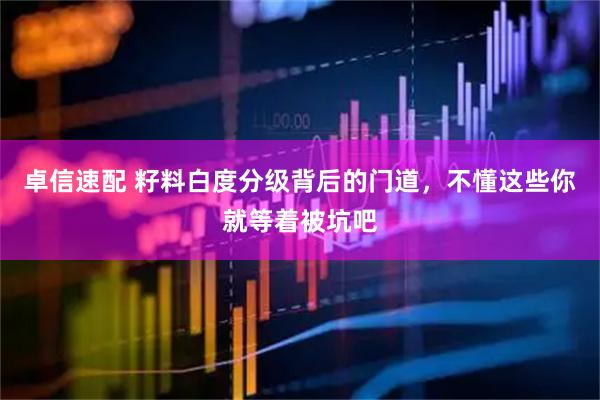 卓信速配 籽料白度分级背后的门道，不懂这些你就等着被坑吧